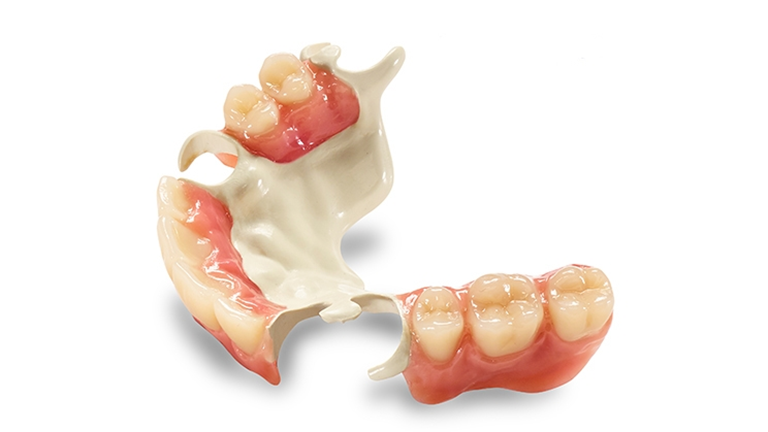 Denture Processing Plant