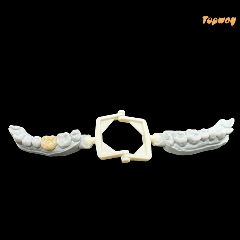 Full Zirconia Dental Case - Image 2