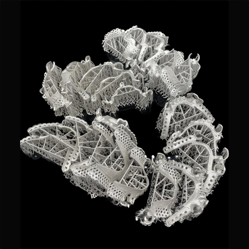 Dental Vitallium Denture - Image 3