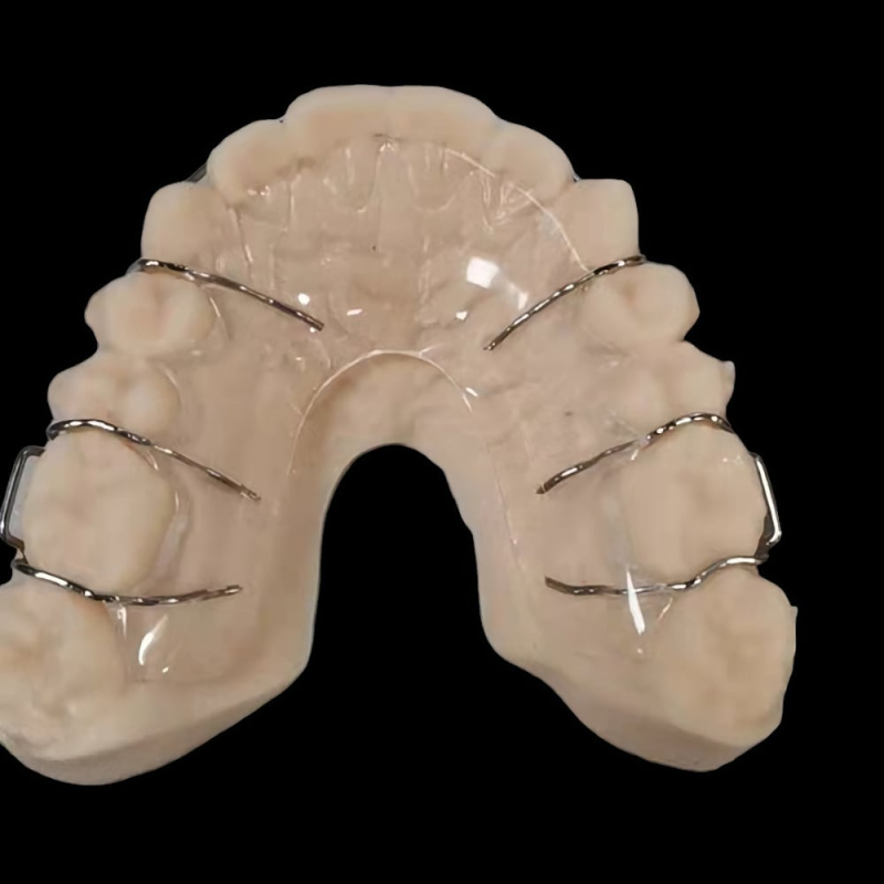 Hawley Retainer Orthodontic - Image 2
