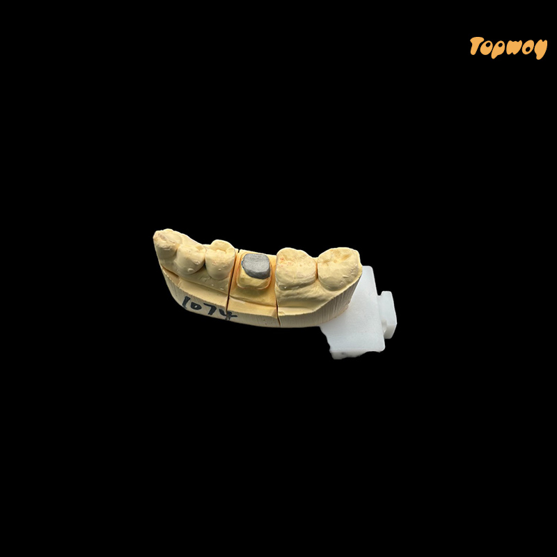 Dental Case Co-Cr Post Core