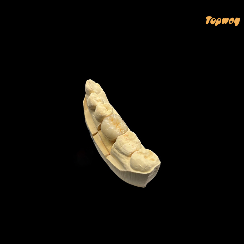 Dental Case Co-Cr Post Core - Image 3