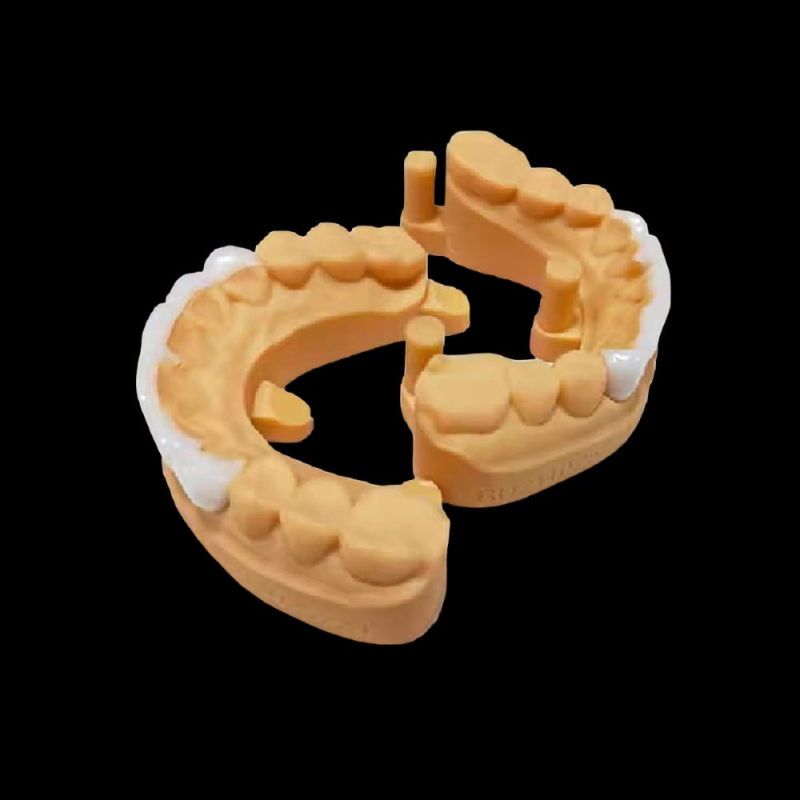Dental Lab 3D Print Full Arch Model - Image 2