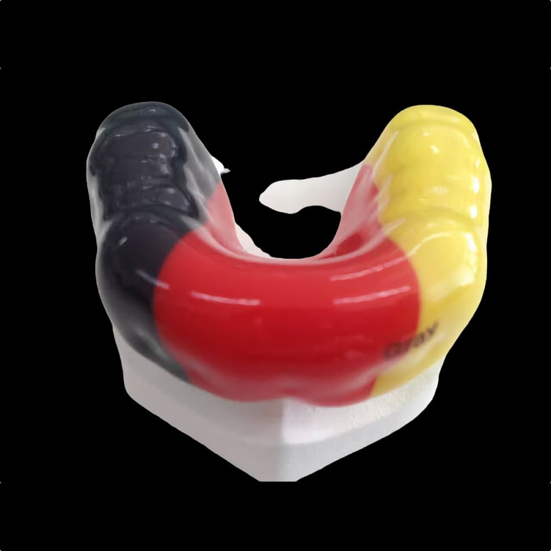 Dental Sport Guards - Image 3